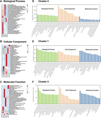 Liver mitochondria-associated endoplasmic reticulum membrane proteomics for studying the effects of ZiBuPiYin recipe on Zucker diabetic fatty rats after chronic psychological stress